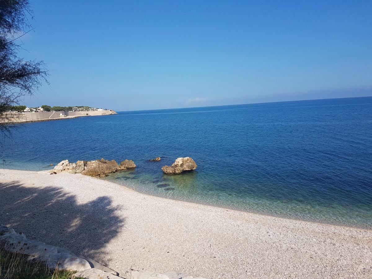 Hotel Salsello Bisceglie Eksteriør billede